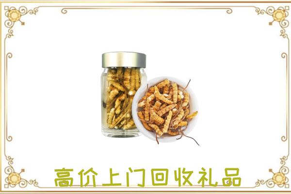 平原周边回收虫草